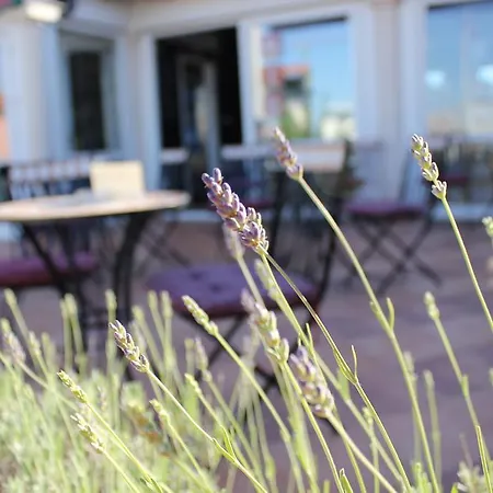 Hotel Diana 3*
